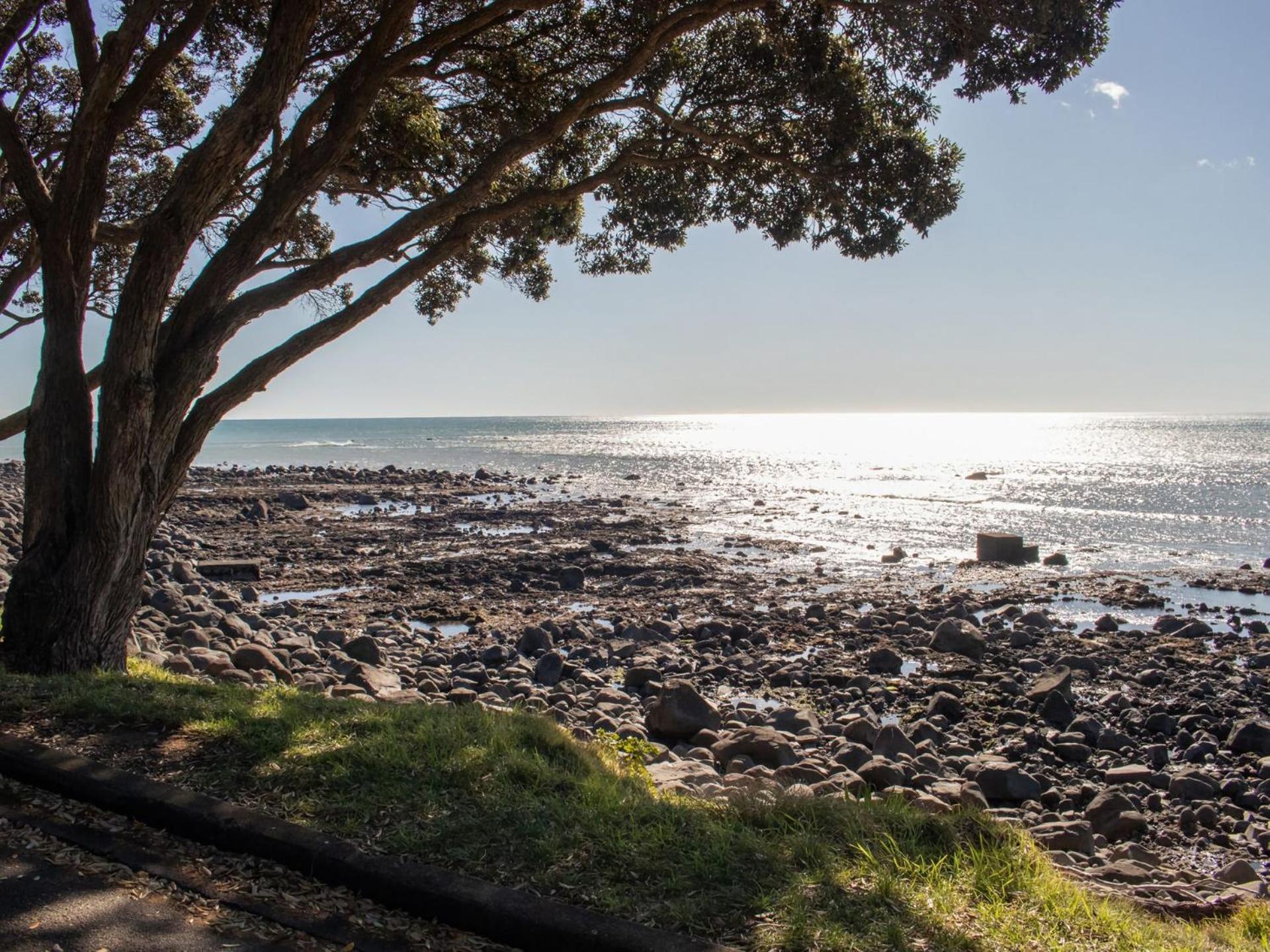 The Coastal Cottage Central City Location New Plymouth Exteriér fotografie